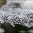 **frost (2)**