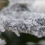**frost (2)**