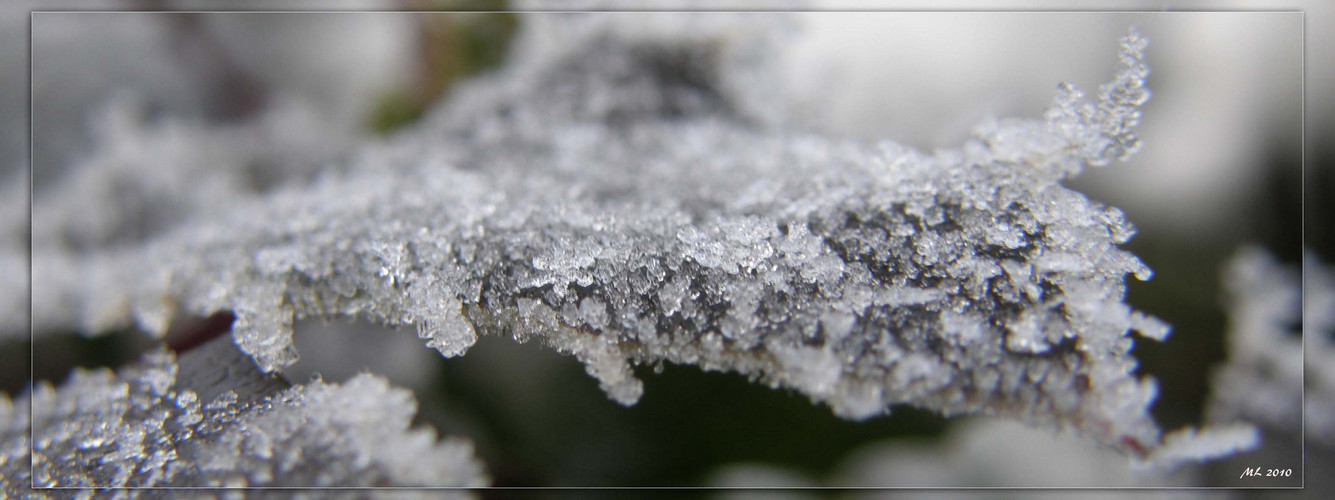 **frost (2)**