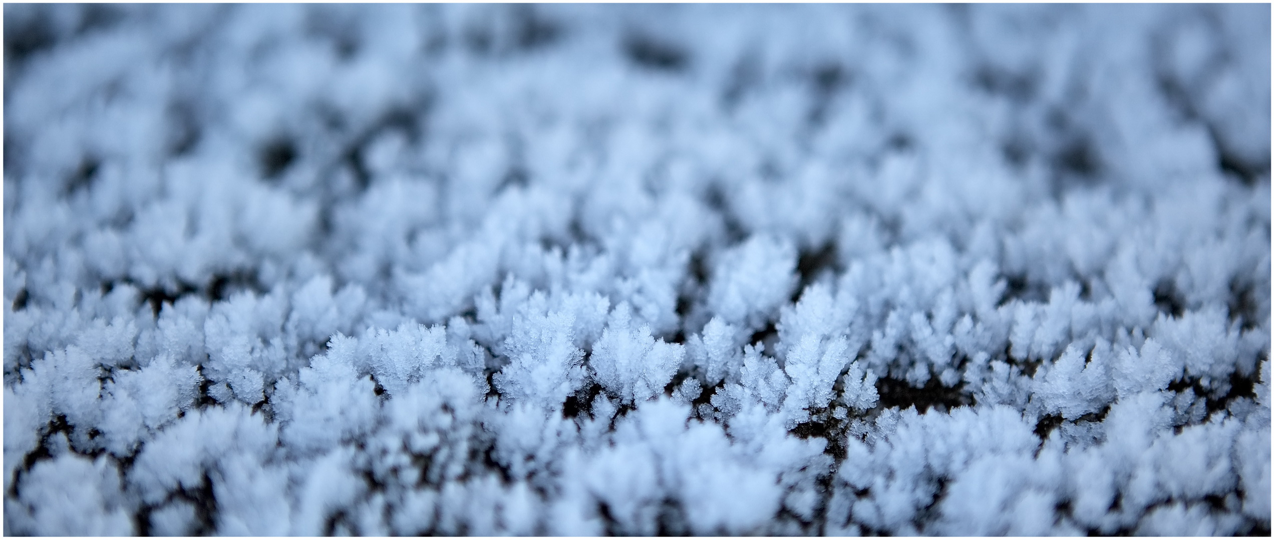 Frost 2020-01-02 auf dem Boden