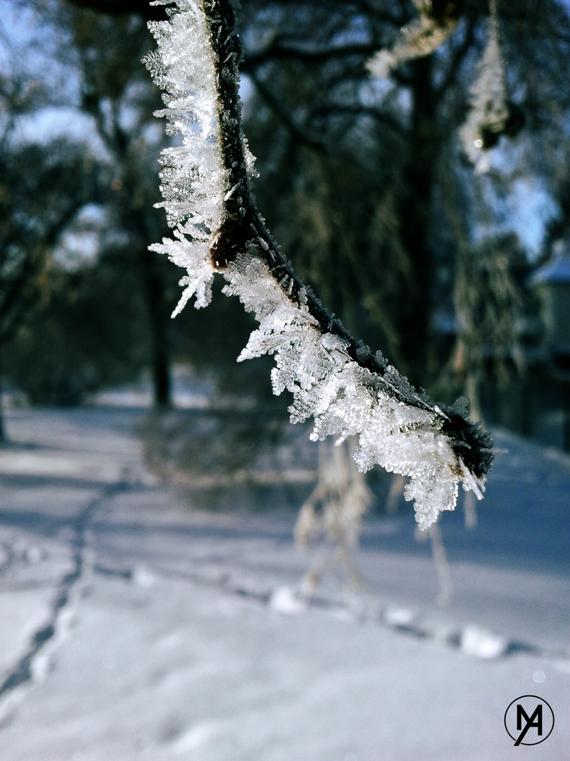 Frost