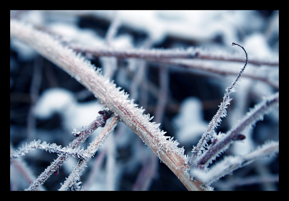 Frost