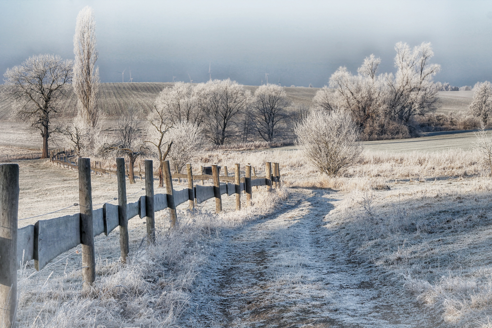 frost Foto & Bild  landschaft, jahreszeiten, winter Bilder auf  fotocommunity