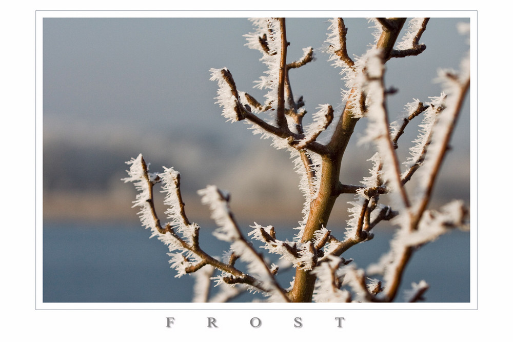 Frost