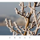 Frost