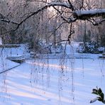 Frost