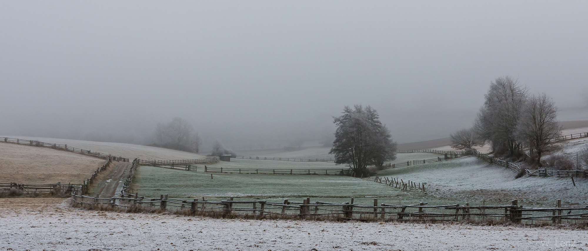 Frost Foto & Bild bäume, winter, Bilder auf
