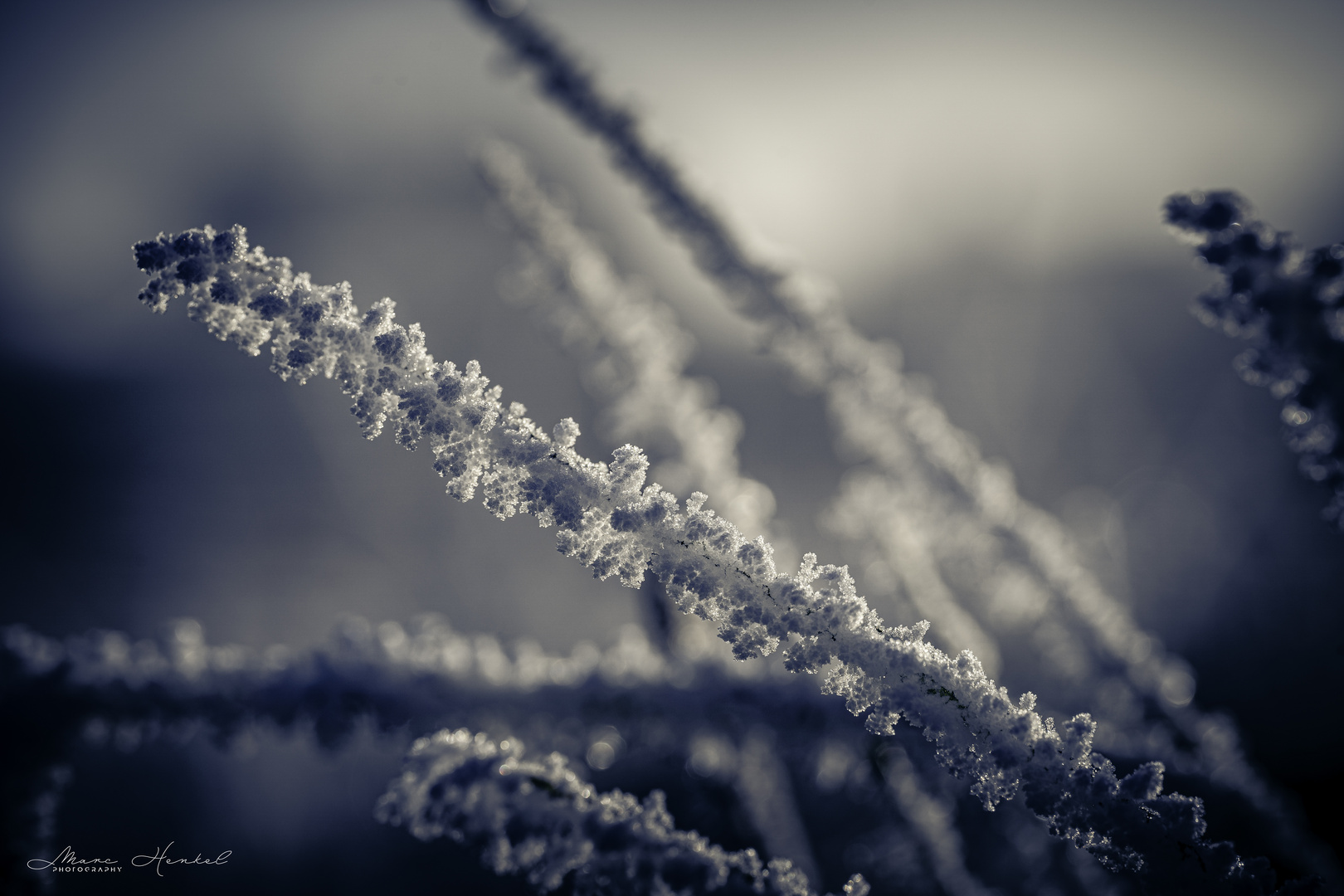 Frost