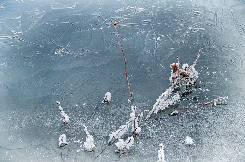 Frost Foto &amp; Bild | archiv projekte naturchannel, monatswettbewerbe