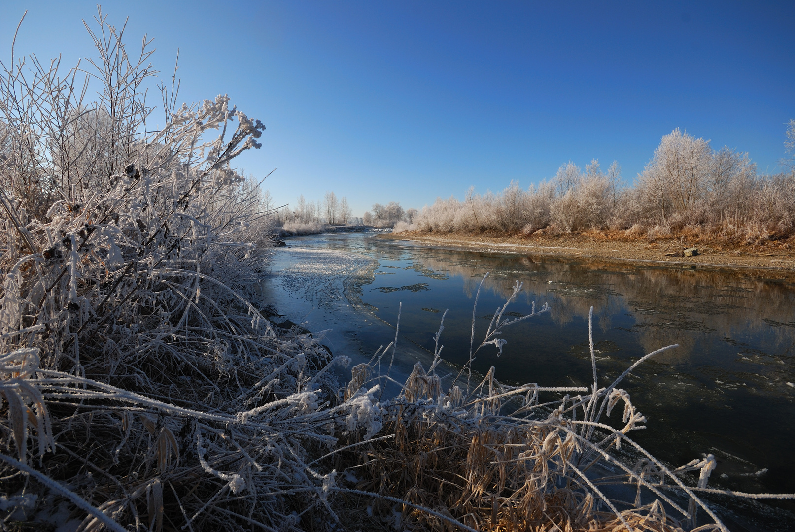 Frost am Fluss