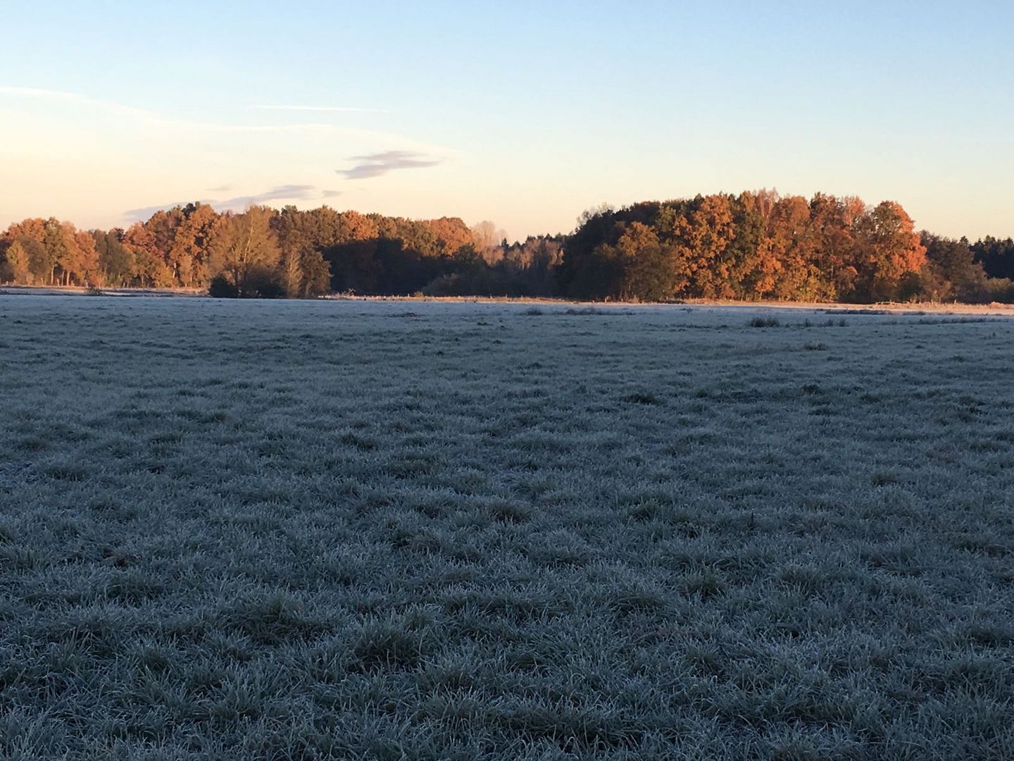 Frost am Morgen