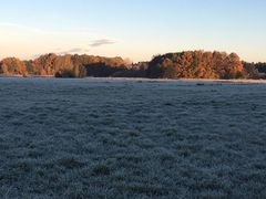 Frost am Morgen