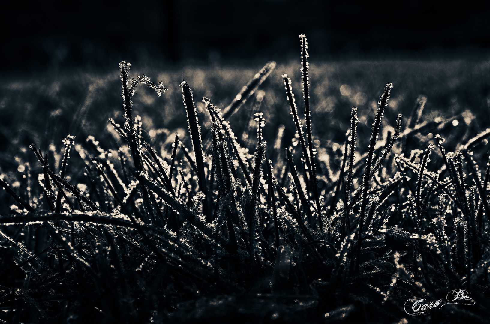 Frost am Morgen