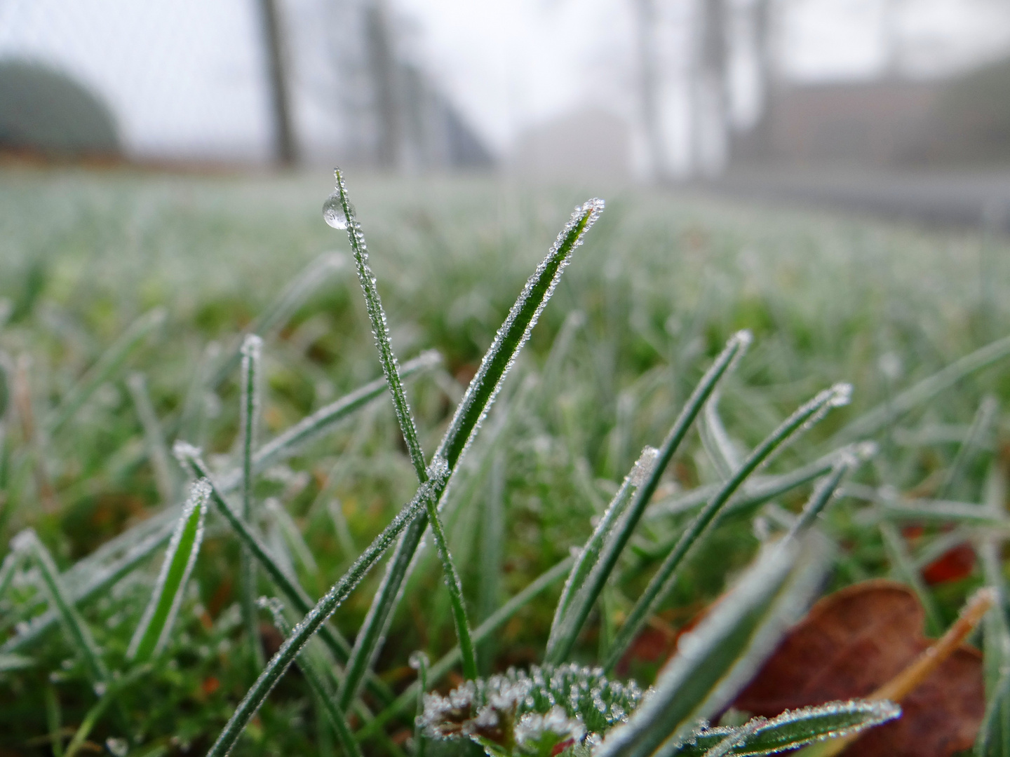 Frost am Morgen