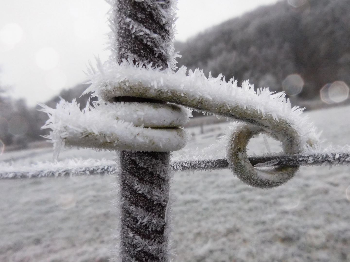 Frost am Morgen