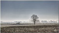 Frost am Niederrhein