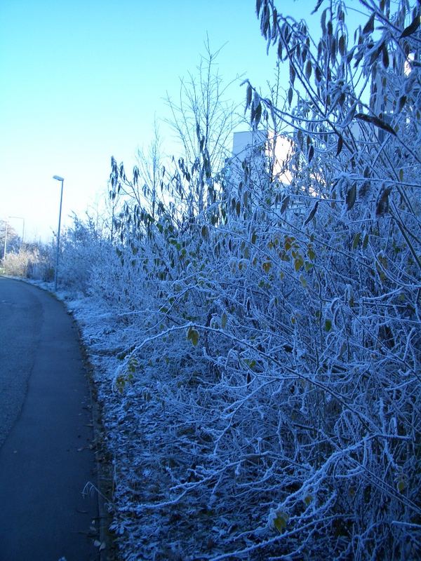 frost am rande der stadt