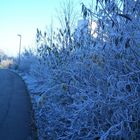 frost am rande der stadt