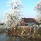 Frost am Ufer