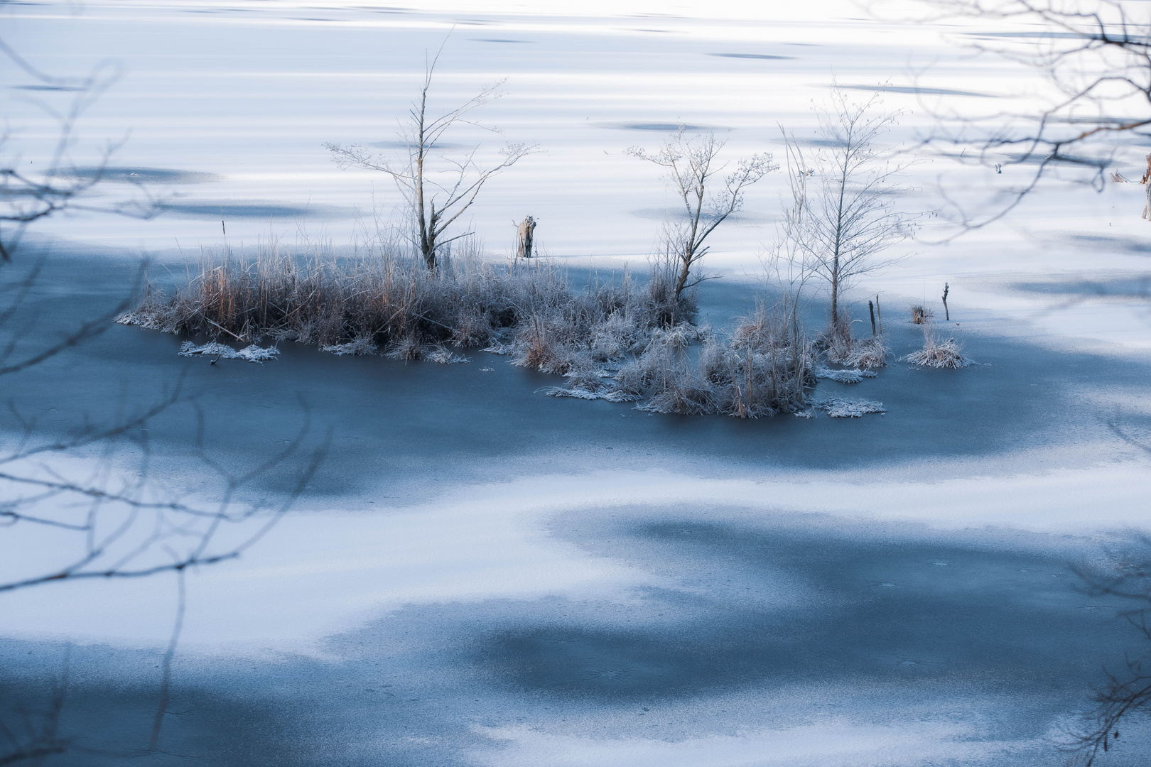 Frost am Weiher