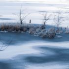 Frost am Weiher