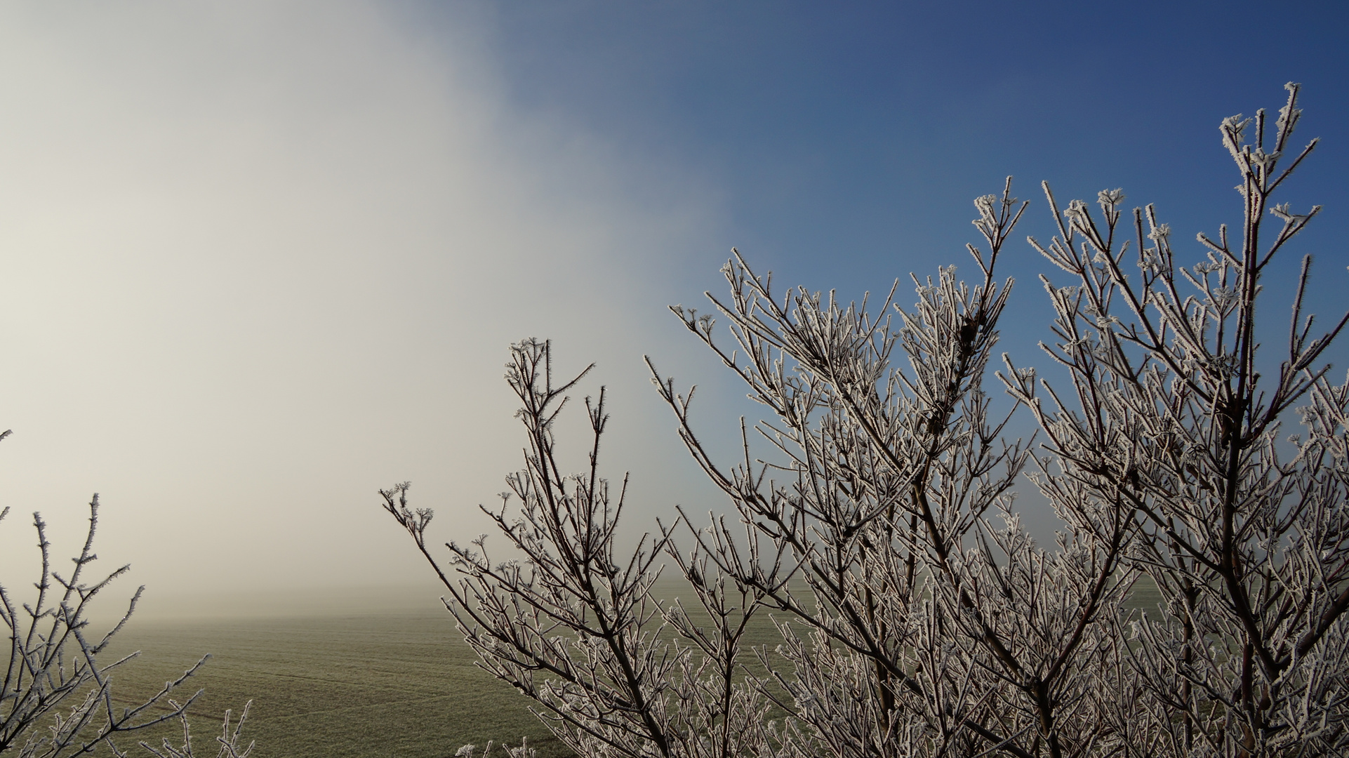 Frost am Weiher