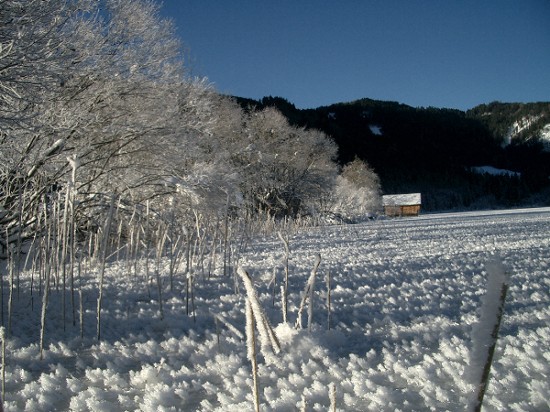 Frost am Weißensee