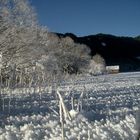 Frost am Weißensee
