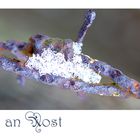 Frost an Rost