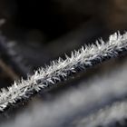 Frost at the 13/02/2019