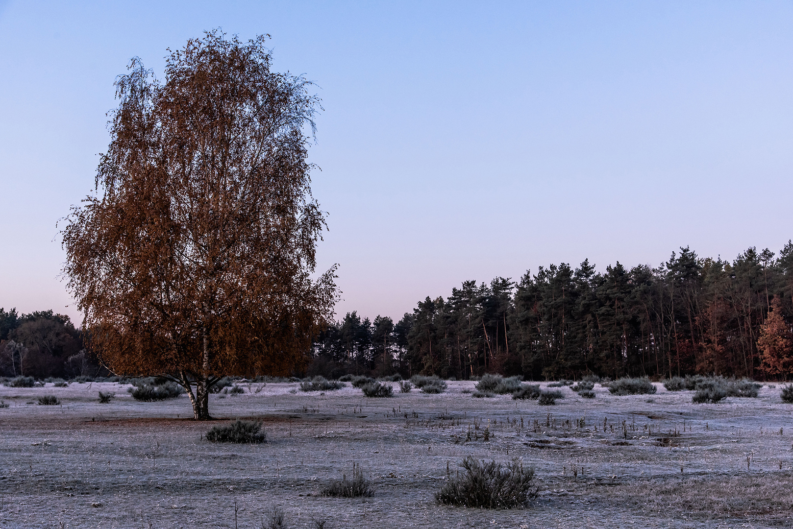 Frost, auch außen