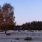 Frost, auch außen