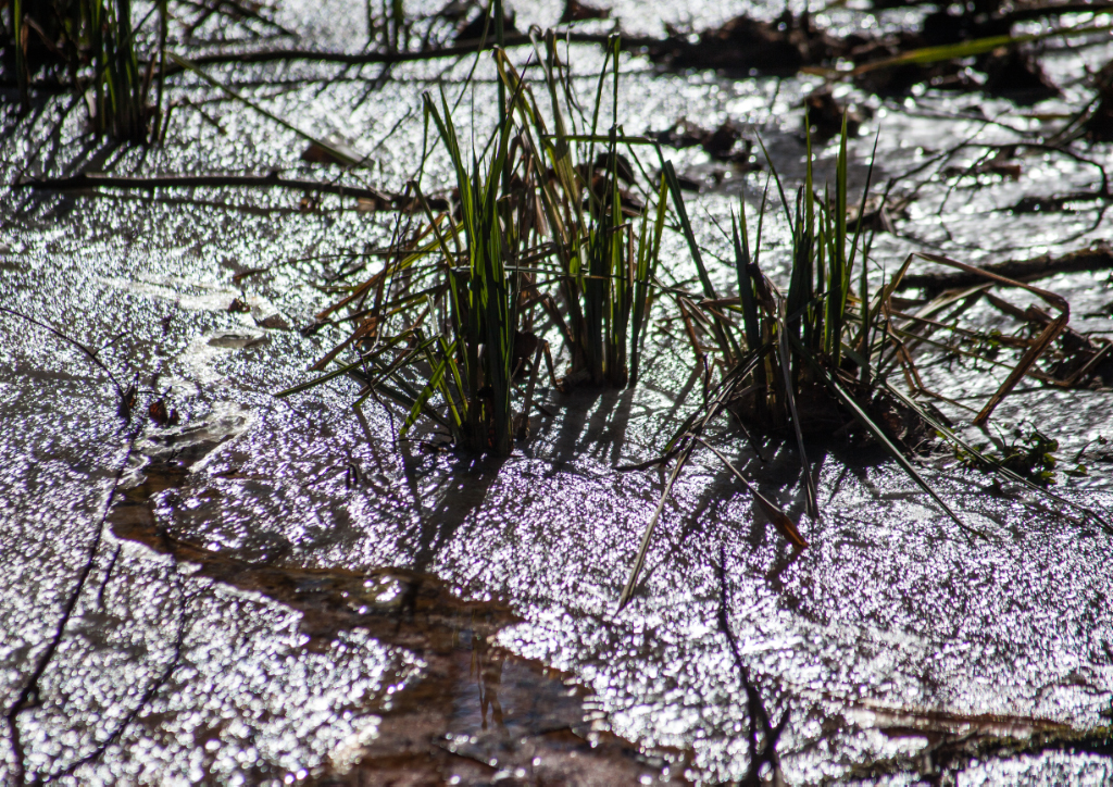 Frost ... auch im Rheinland