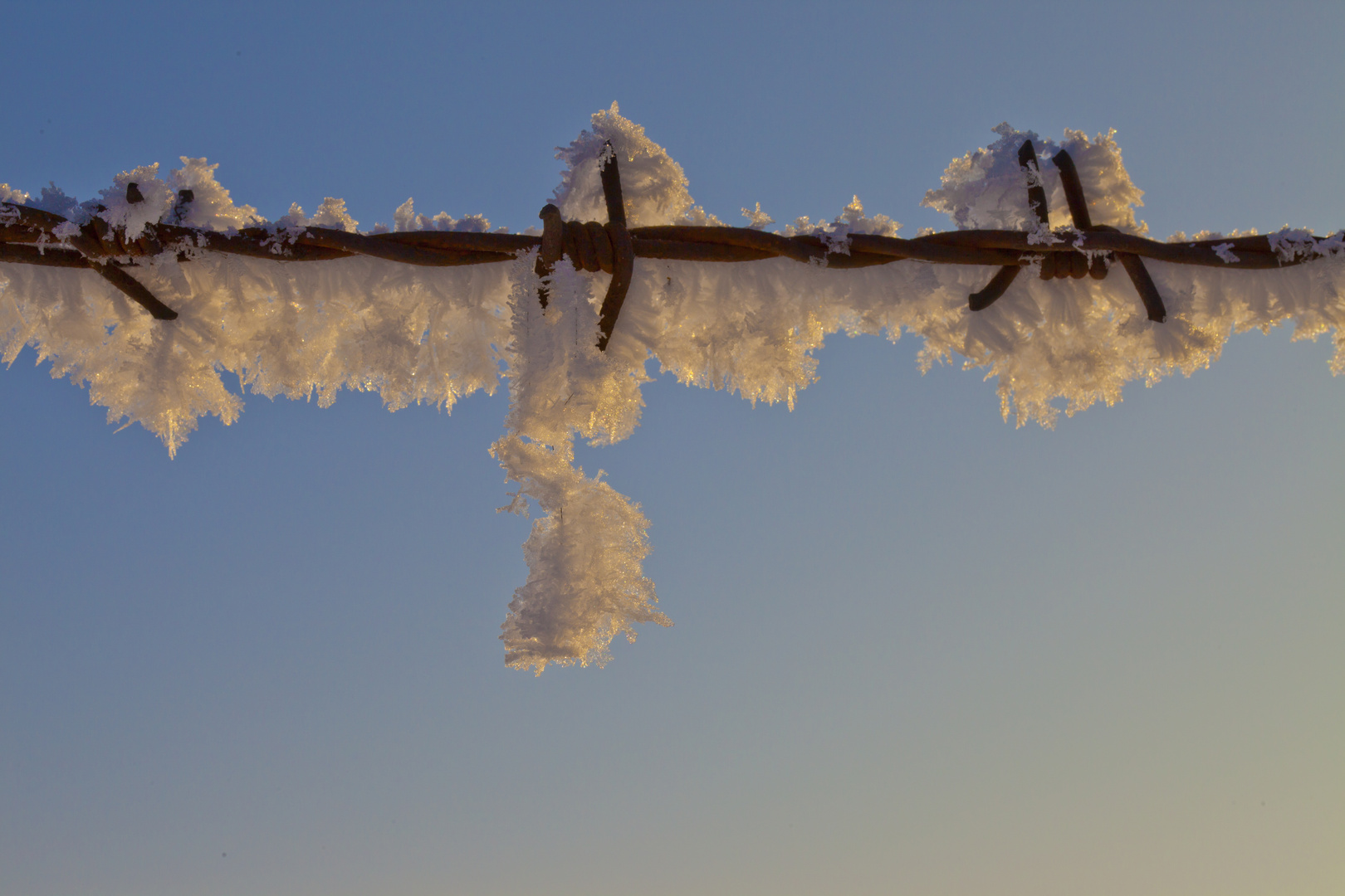 Frost auf Draht