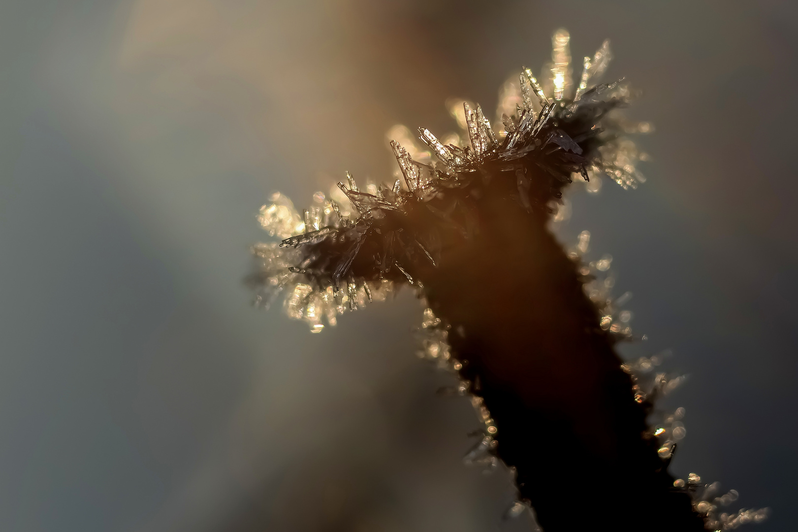 Frost auf Rost