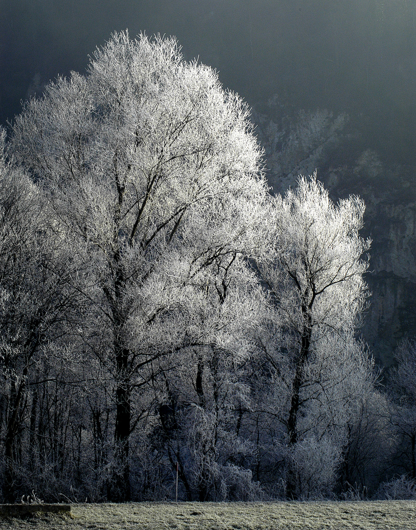 Frost beim Ziller