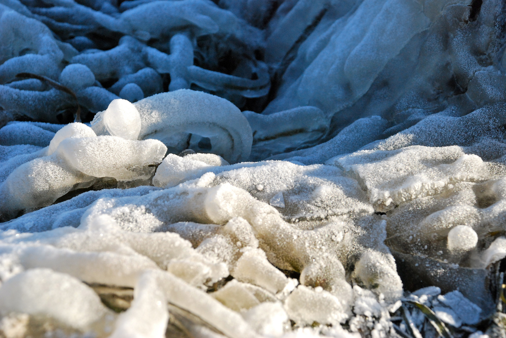 Frost by the sea