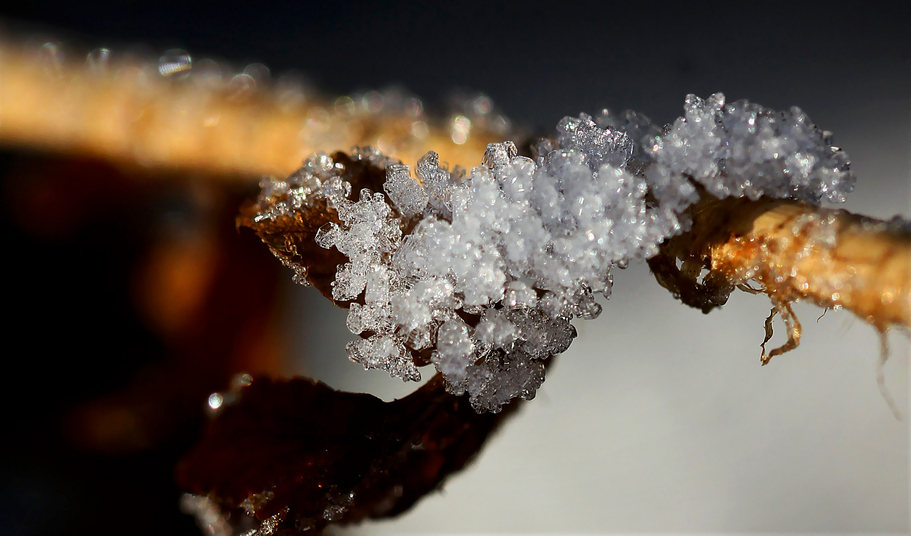 Frost Diamanten