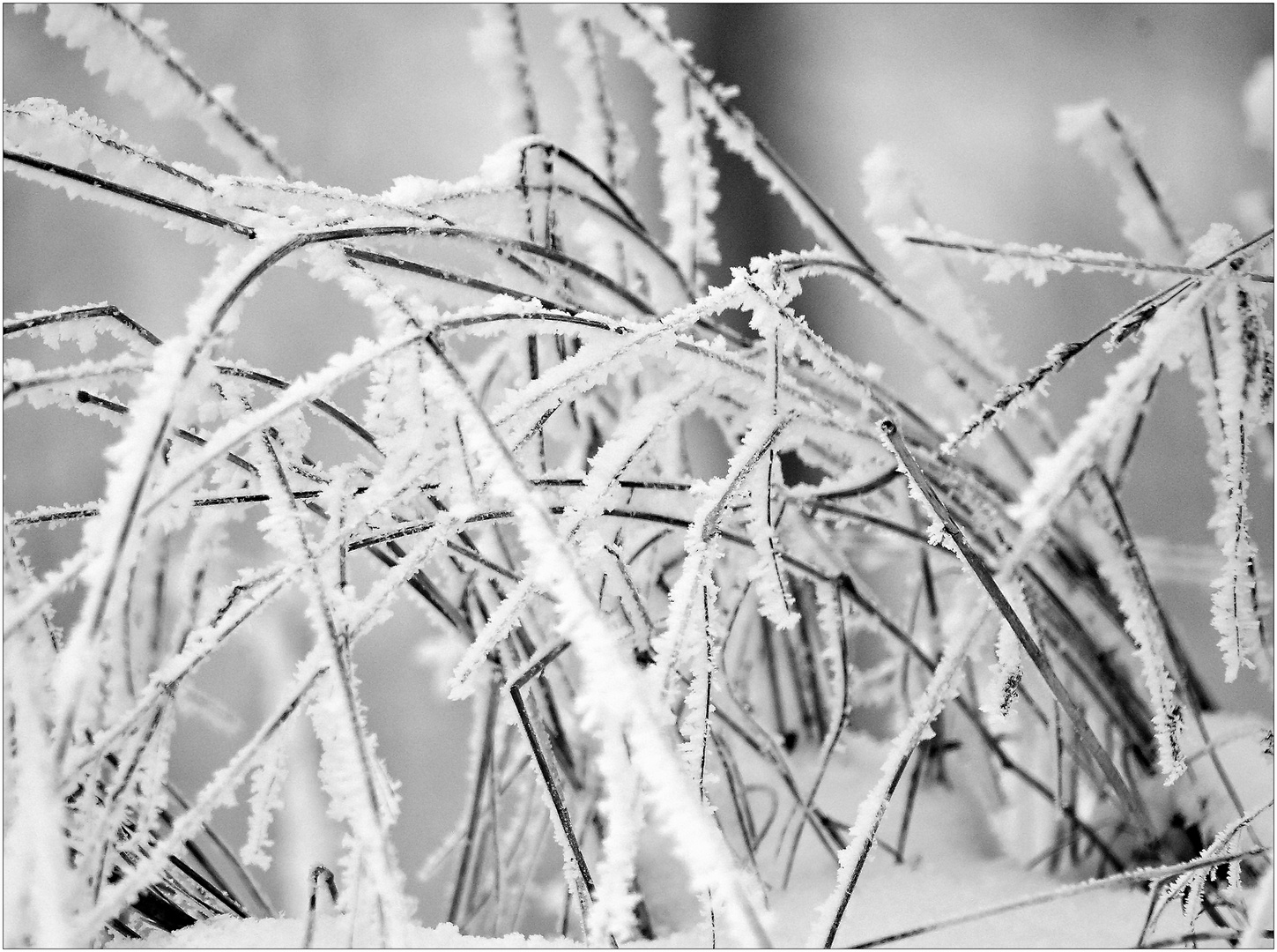 ...frost...