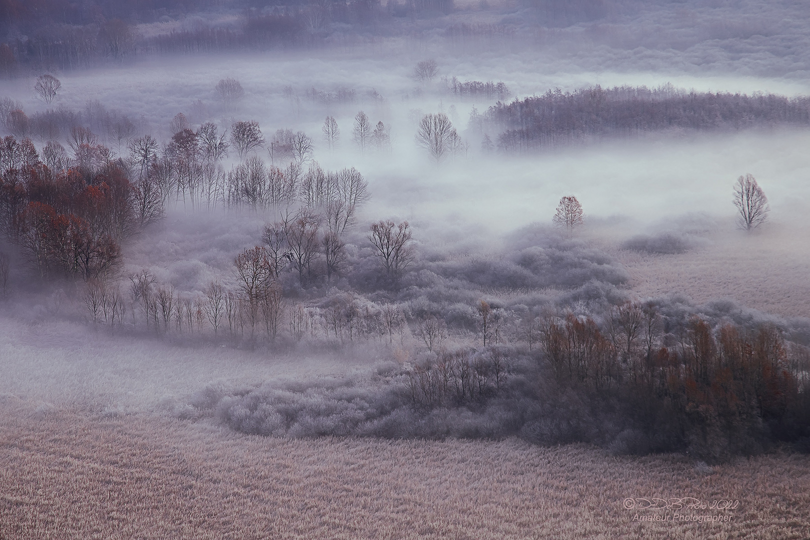 Frost fog and fantasy 