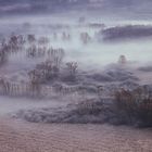 Frost fog and fantasy 