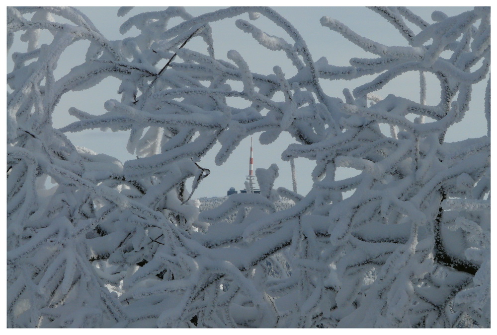 Frost-Grenze oder Brockenblick