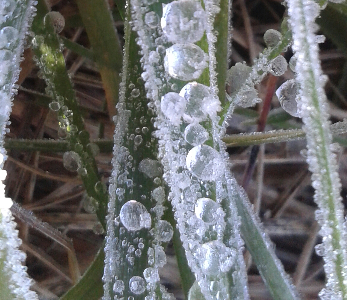 Frost II