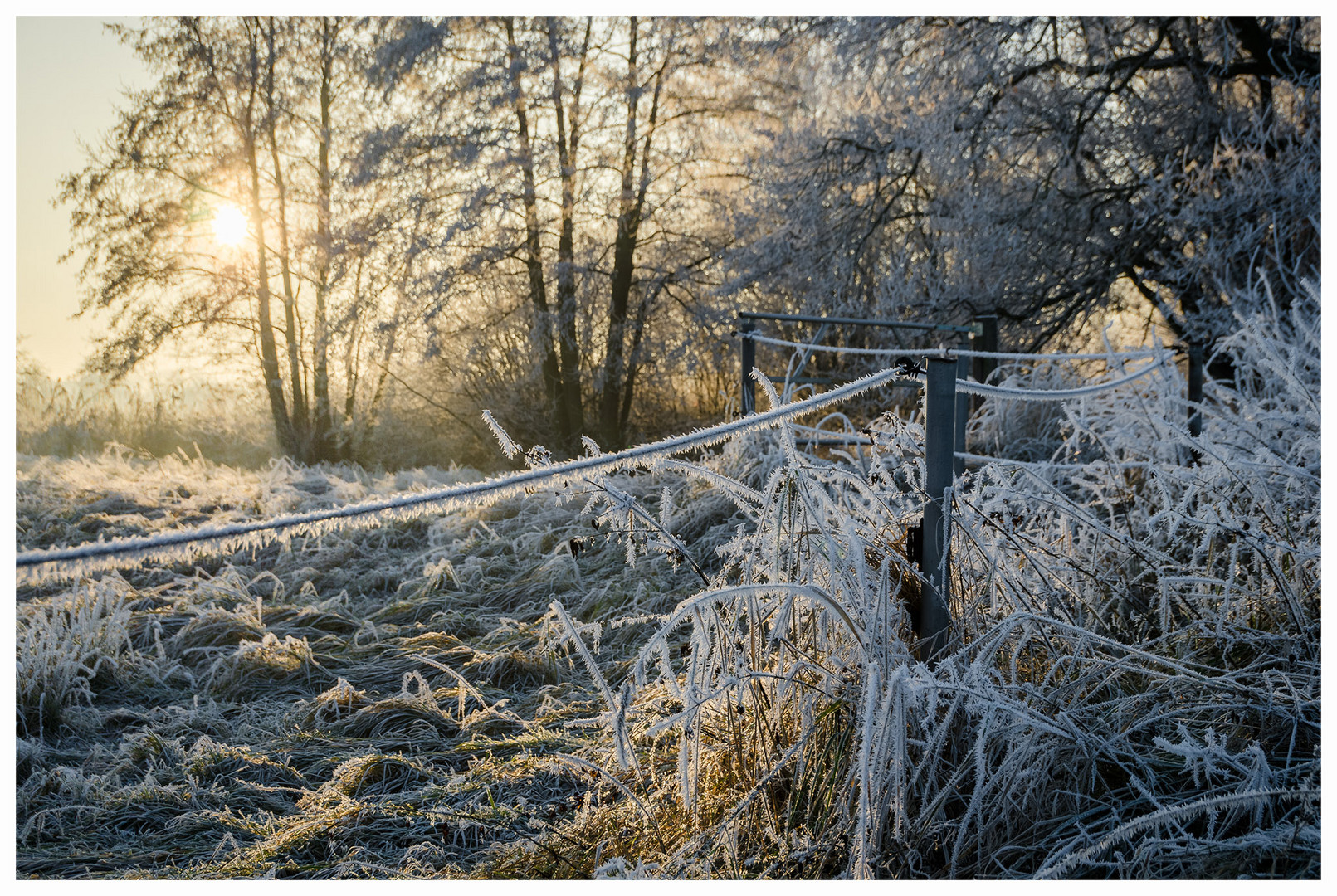 Frost II