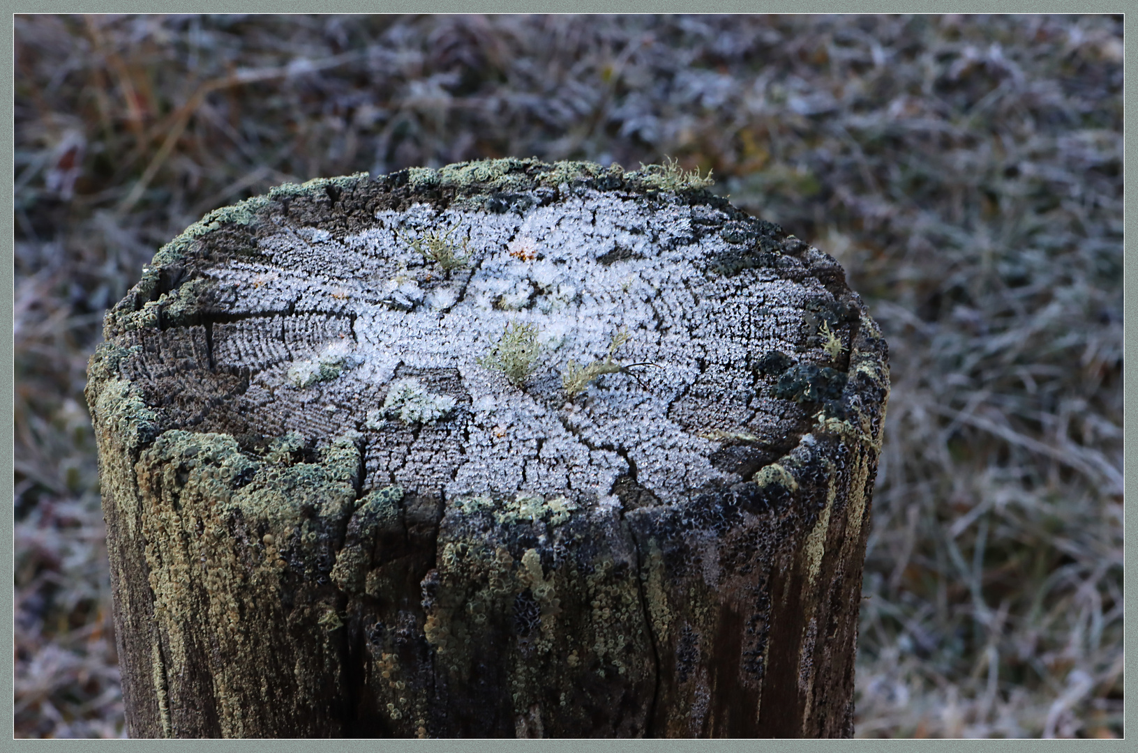 Frost im Engadin