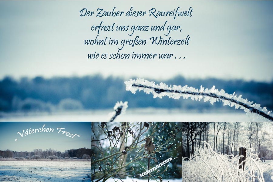 Frost im Februar 2012