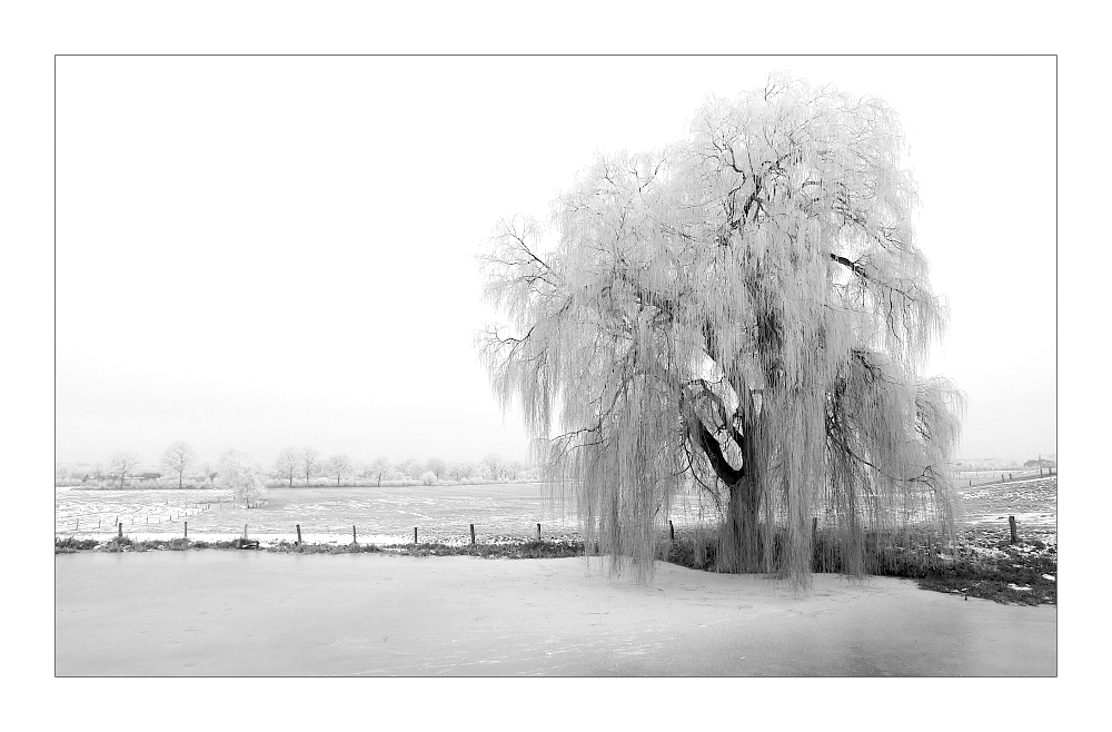 Frost im Land der Horizonte