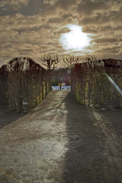 Frost im Park Belvedere