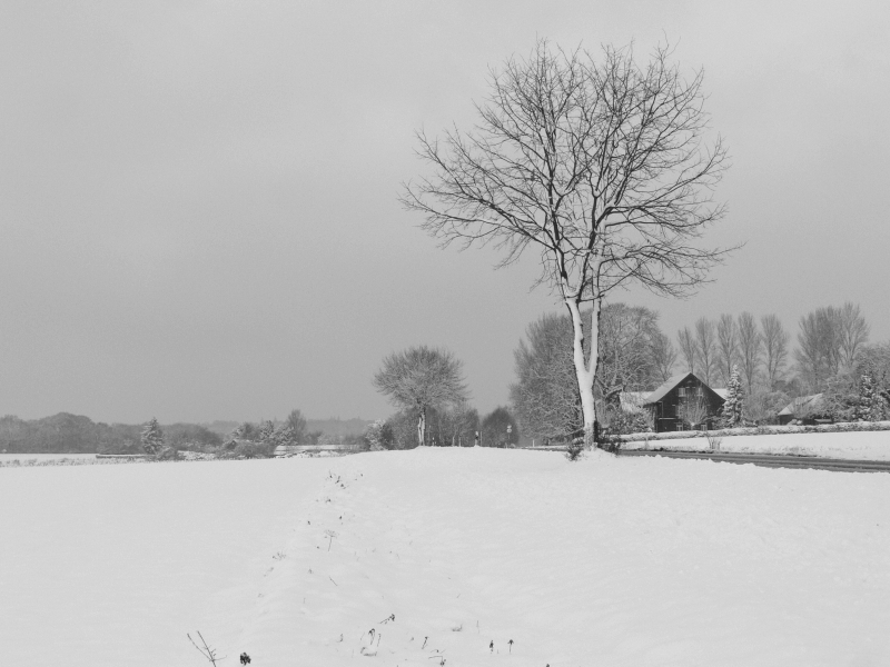 Frost im Ruhrtal