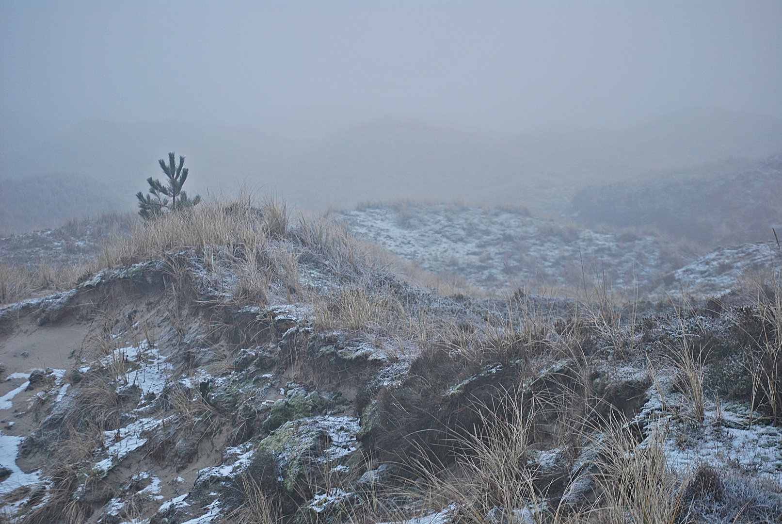 Frost in den Dünen...